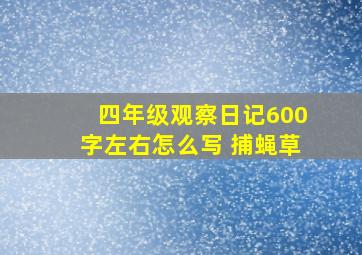 四年级观察日记600字左右怎么写 捕蝇草